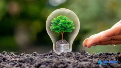 Energy Resources Innovations and Sustainability Trends