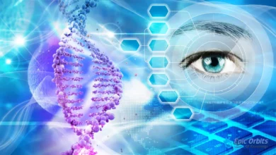 Genetic Engineering benefits risks and future