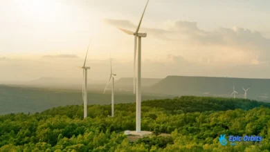Wind Energy Sustainable Power For The Future