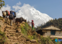 Emerging Travel Destinations in 2025