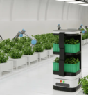 How Robotics Are Shaping the Future of Agriculture