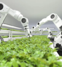 How Robotics Are Shaping the Future of Agriculture