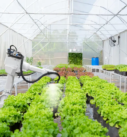 How Robotics Are Shaping the Future of Agriculture