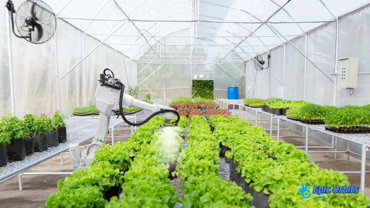 How Robotics Are Shaping the Future of Agriculture How Robotics Are Shaping the Future of Agriculture