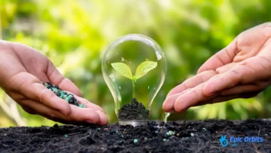 Understanding the Environmental Impact of Digital Technologies